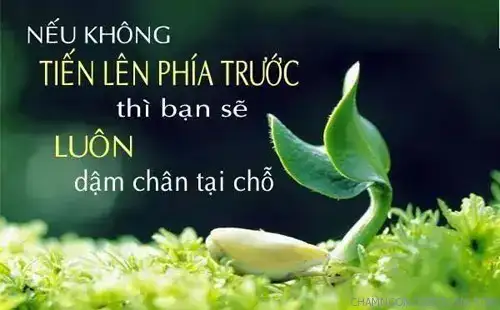 những câu nói khó khăn trong cuộc sống
