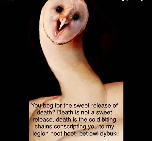 bing chilling câu nói