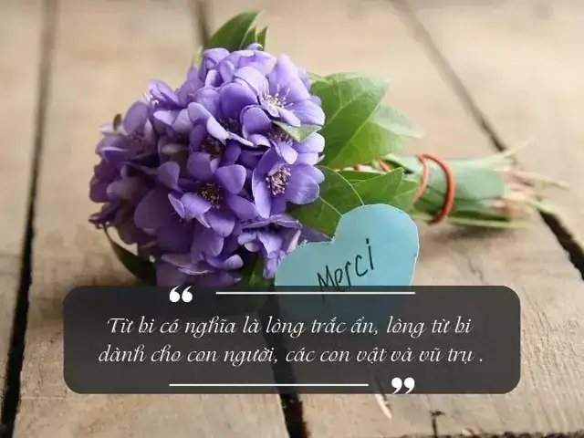 câu nói hay về lòng trắc ẩn