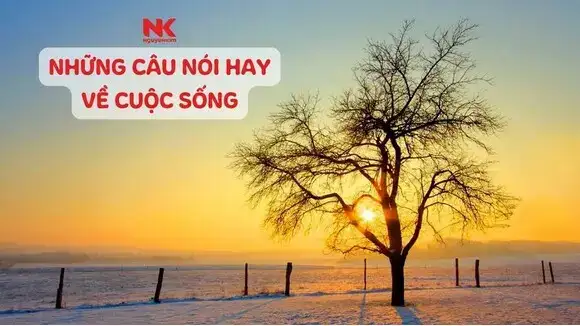 những câu nói hay nhức nhối facebook