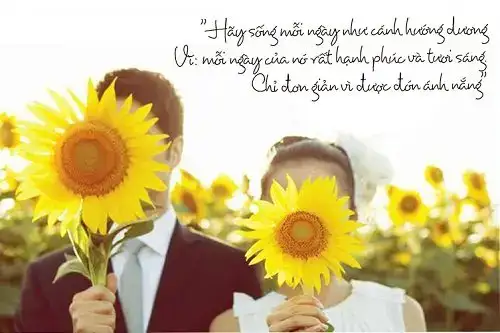 câu nói hay về hoa hướng dương