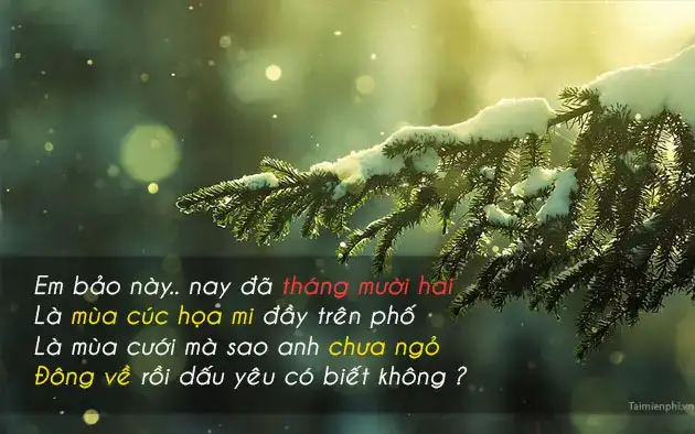 câu nói hay tháng 12