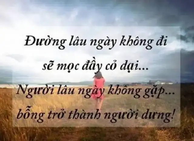 những câu nói hay về tình yêu dang dở