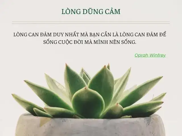 câu nói về lòng dũng cảm