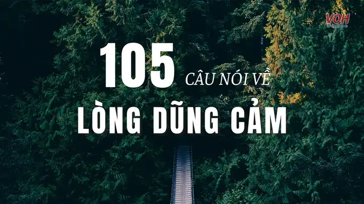 câu nói về lòng dũng cảm