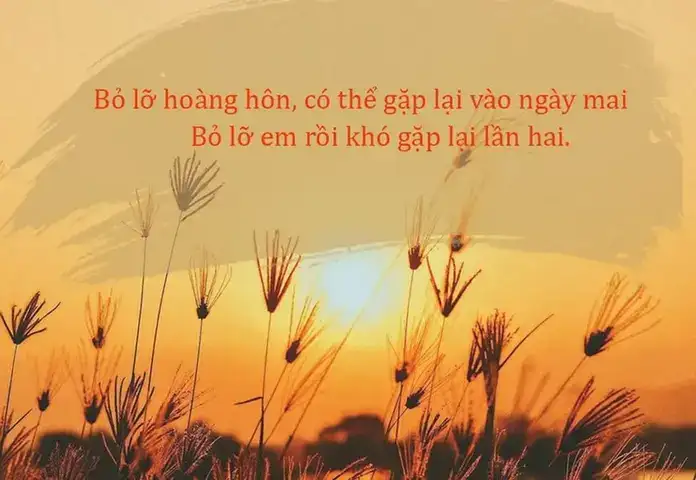 câu nói hay về hoàng hôn
