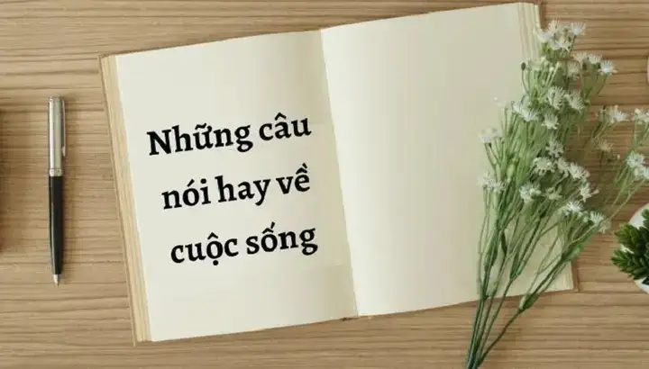 những câu nói hay về chân ngắn