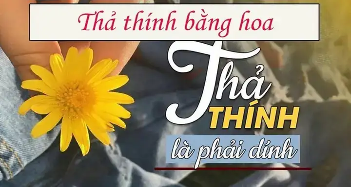 câu nói hay về hoa