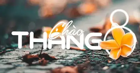 câu nói hay về tháng 8