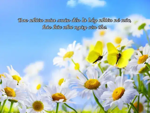 những câu nói hay về mùa xuân