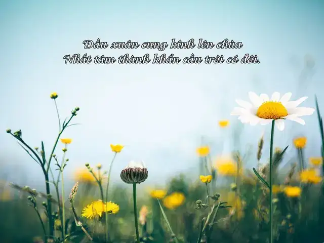 những câu nói hay về mùa xuân