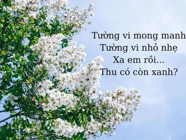 câu nói hay về hoa tường vi