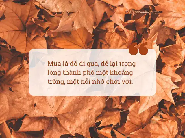 câu nói hay về mùa thu