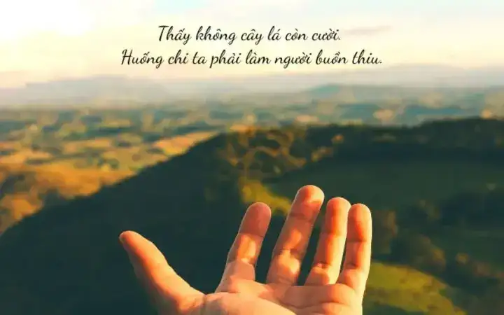 câu nói về tinh thần lạc quan