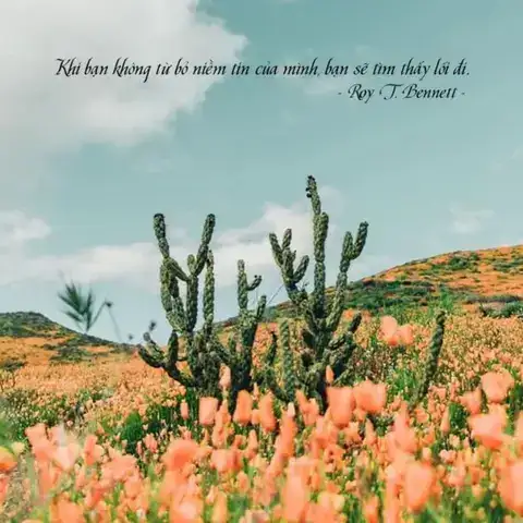 câu nói hay về niềm tin