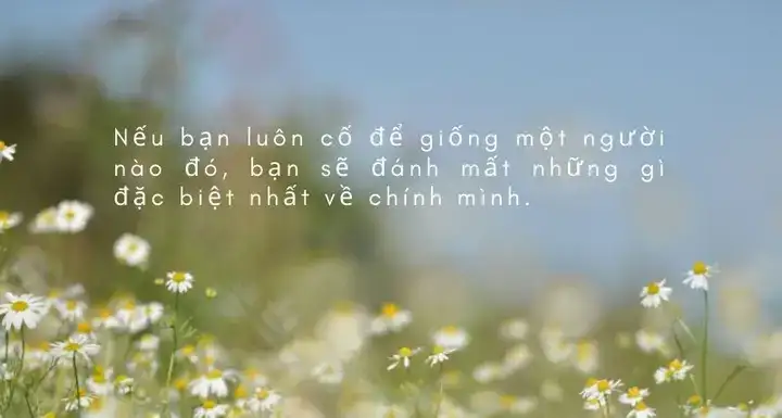 những câu nói hay về bản thân