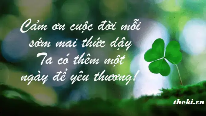 câu nói cảm ơn đời mỗi sớm mai thức dậy