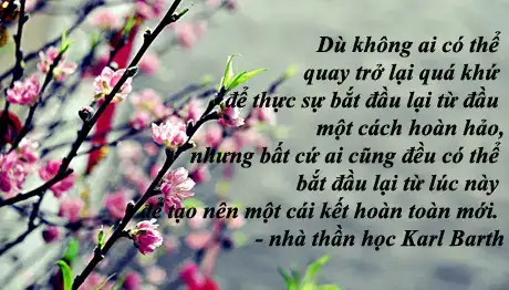 câu nói hay đầu xuân câu nói hay đầu xuân