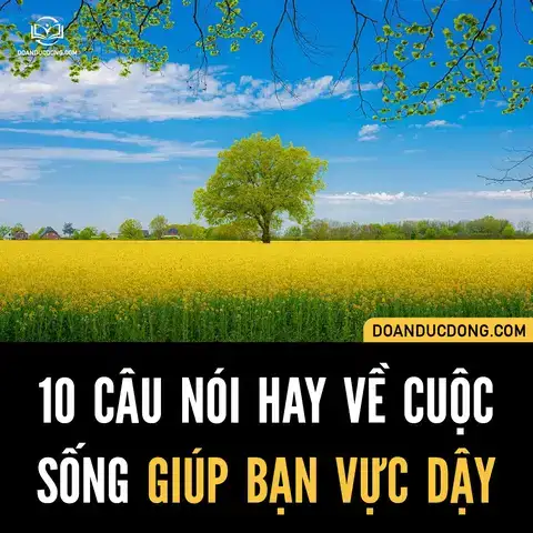 câu nói hay giúp bạn vực dậy câu nói hay giúp bạn vực dậy