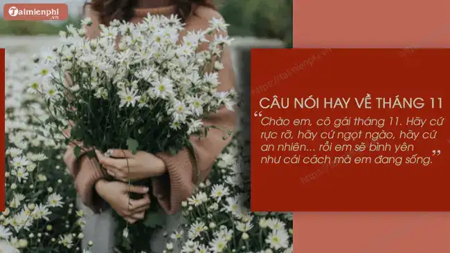 câu nói hay tháng 11