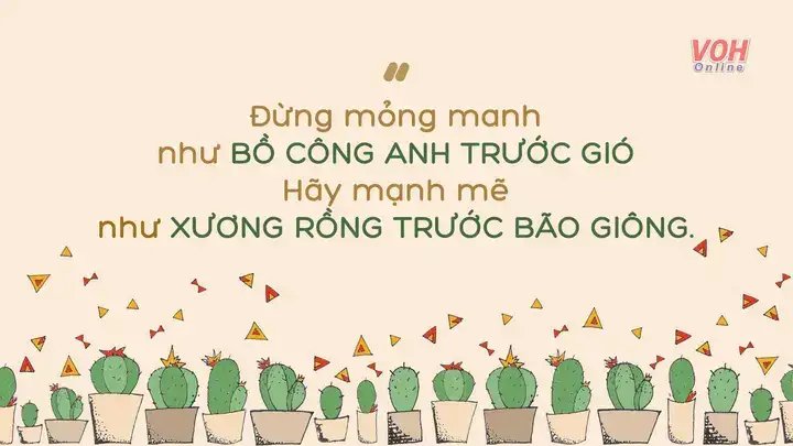 câu nói hay về cây xương rồng