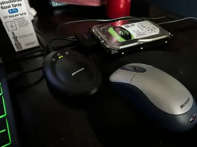 câu nói hay về chuột