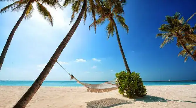 câu nói hay về những chuyến đi bằng tiếng anh