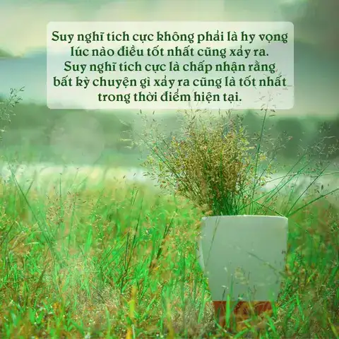 câu nói hay về sự chấp nhận