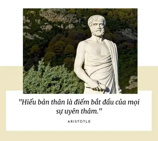 câu nói của aristotle