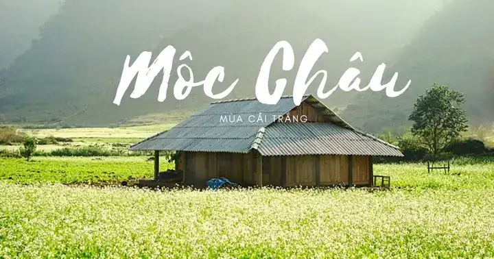câu nói hay về mộc châu