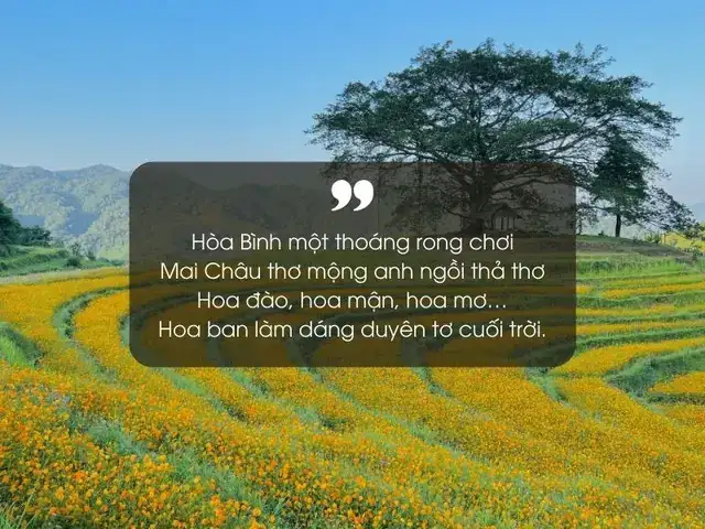 câu nói hay về hòa bình