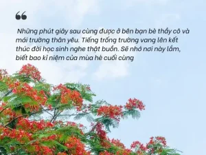 câu nói hay về mùa hè