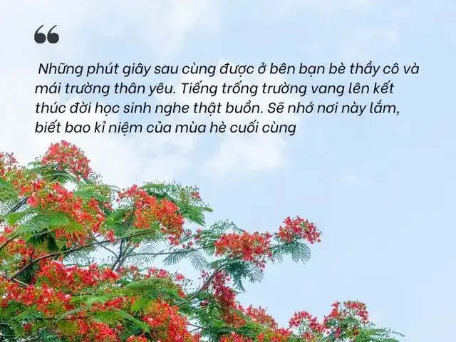 câu nói hay về mùa hè