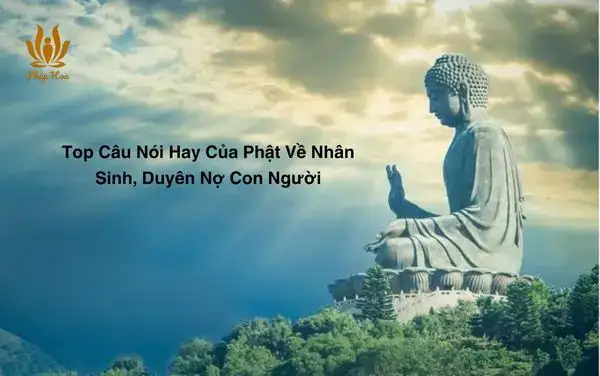 câu nói hay về thời sinh viên