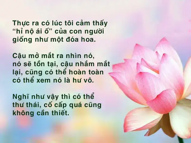câu nói hay về hỉ nộ ái ố