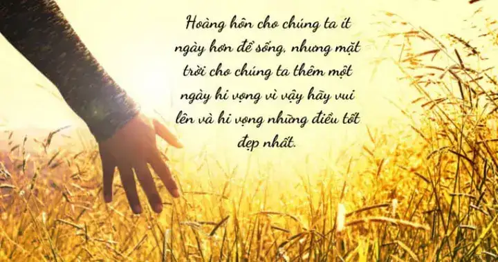 những câu nói an ủi người đang buồn