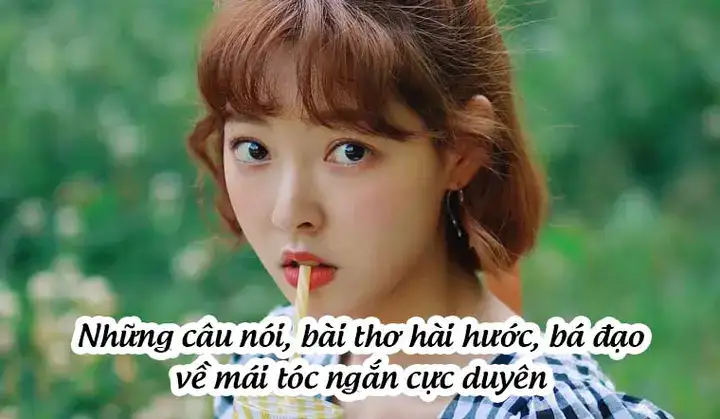 những câu nói bá đạo về tết