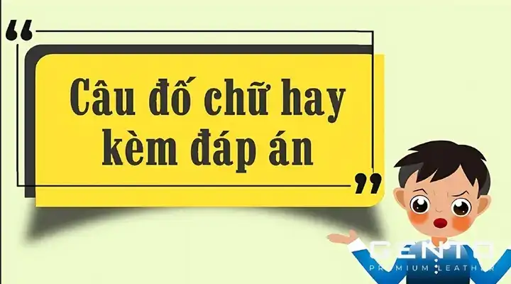 những câu nói bựa nhất quả đất