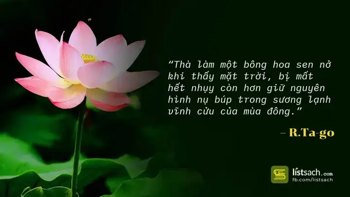 câu nói cảm động