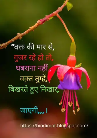 những câu nói chạm đến trái tim