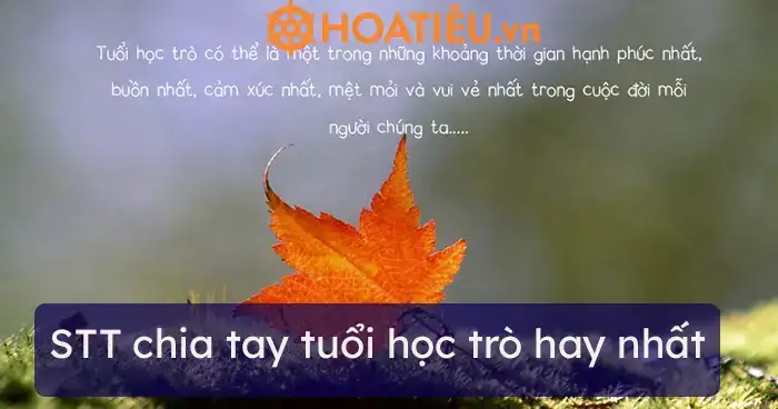 câu nói chia tay tuổi học trò