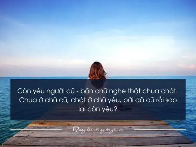 những câu nói chửi người yêu cũ