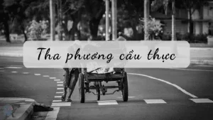 những câu nói của húc phượng