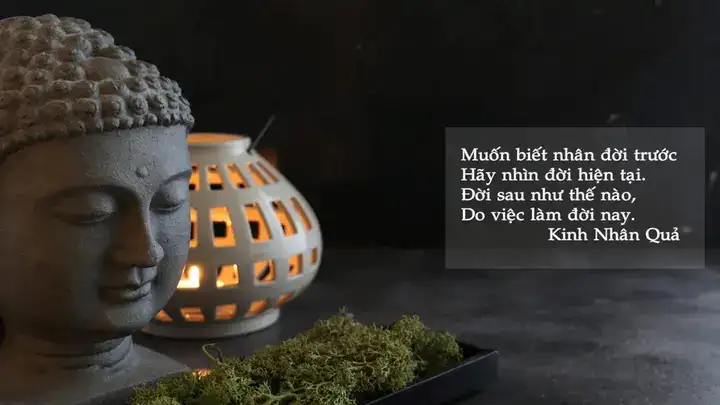 câu nói của phật về nhân quả