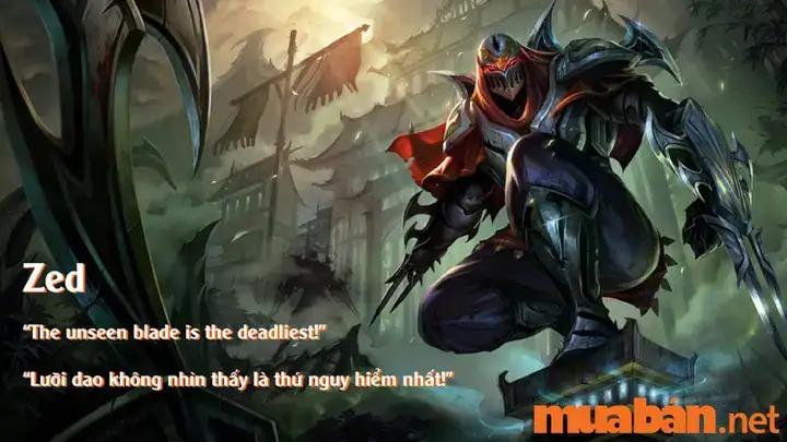 câu nói của zed câu nói của zed