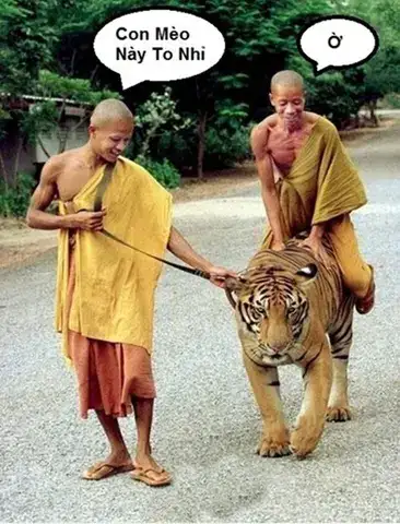 những câu nói hài hước nhất quả đất