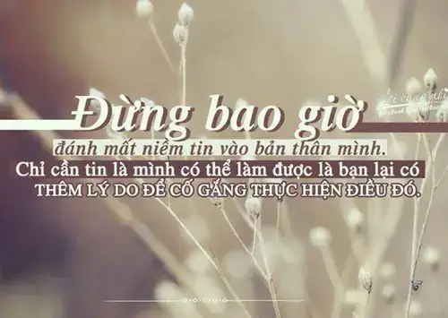 những câu nói hay 2019