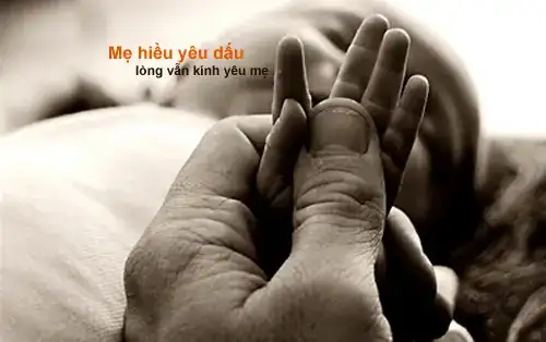 những câu nói hay cha mẹ dành cho con