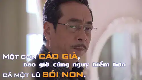 câu nói hay của người phán xử