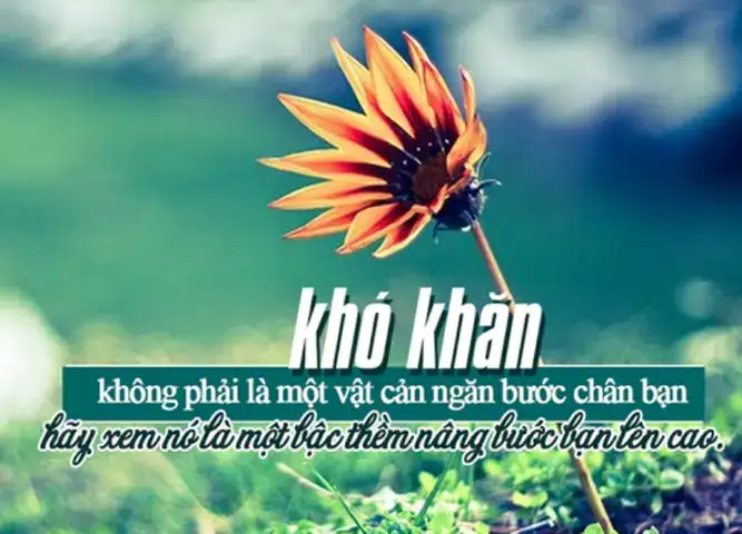 những câu nói hay giúp bạn vượt qua khó khăn